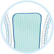 Portal Winny