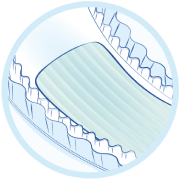 Portal Winny